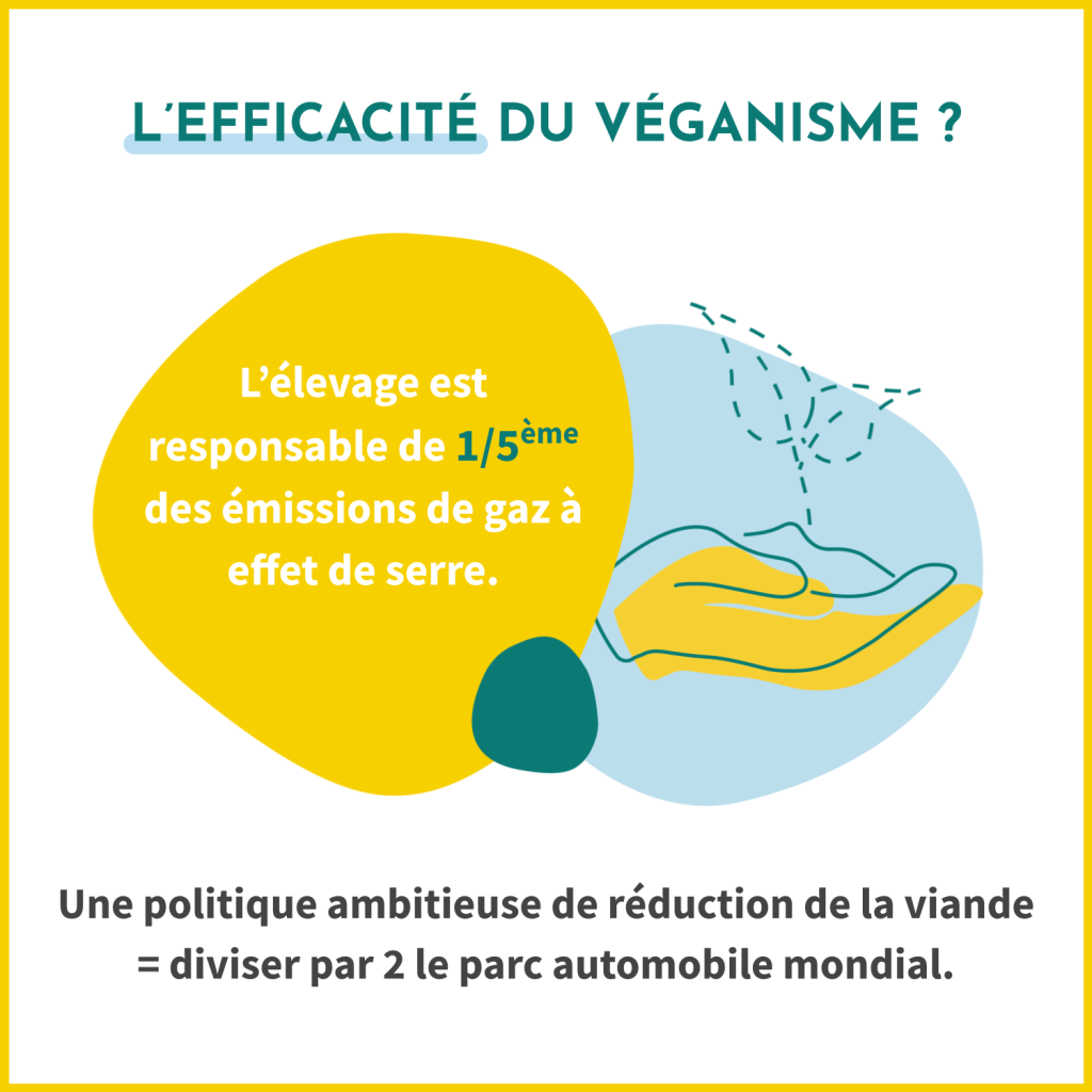 L'efficacité du véganisme ? L'élevage est responsable de 1/5ème des émissions de gaz à effet de serre. Une politique ambitieuse de réduction de la viande est l'équivalent de diviser par deux le parc automobile mondial. 